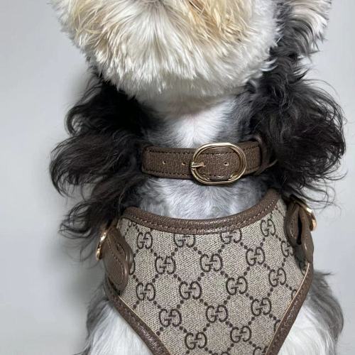 Pettorina + Guinzaglio + Collare GUCCI