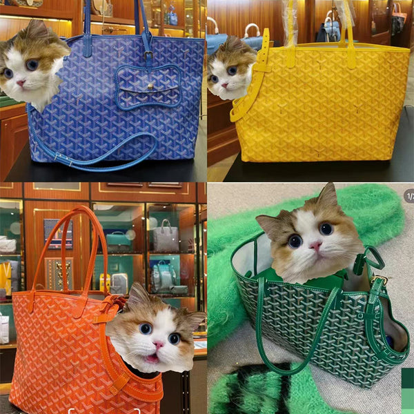 Trasportino Goyard