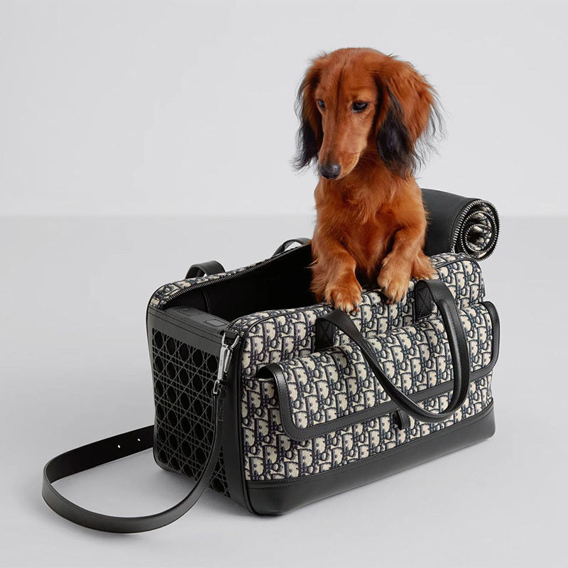 TRASPORTINO DIOR