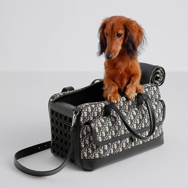 TRASPORTINO DIOR
