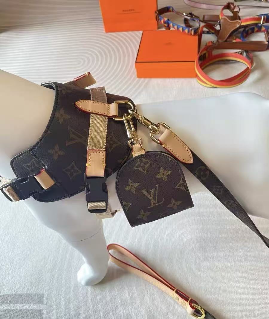 Pettorina Louis Vuitton
