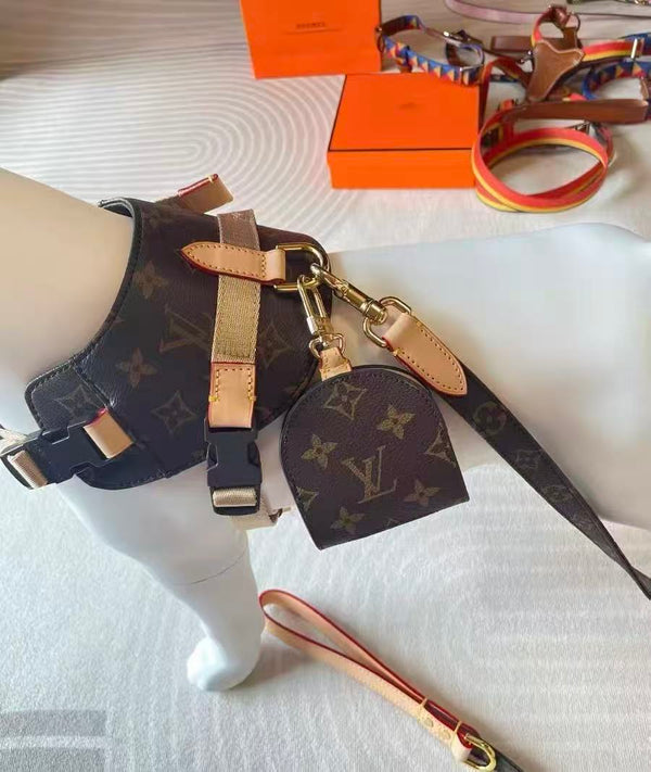 Pettorina Louis Vuitton